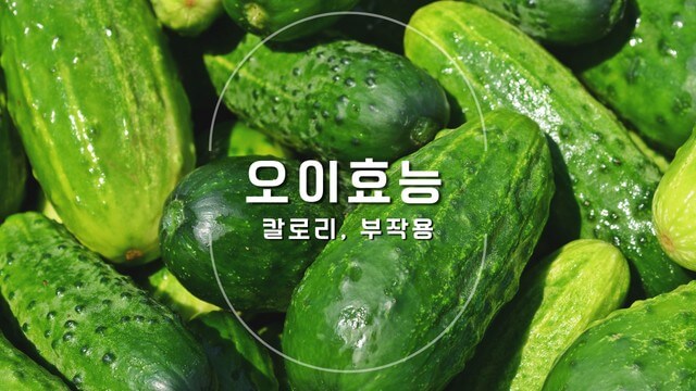 요정도의 부작용