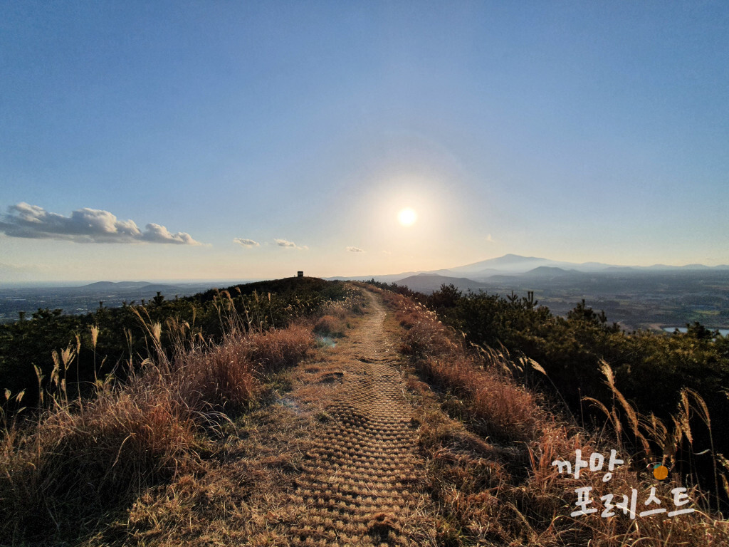 영주산 정상 길