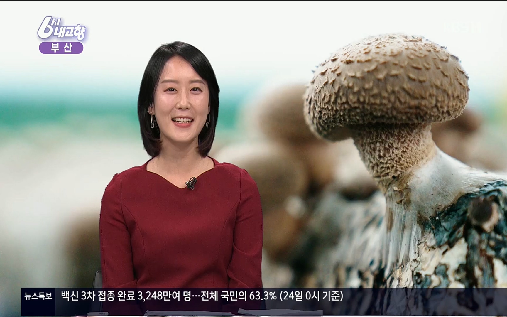 6시 내고향.E7496.220324p.H264-F1RST.mp4_20220328_181542.040.jpg