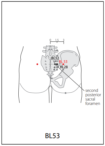 족태양방광경(BL) > BL53 포황 (胞肓) 2
