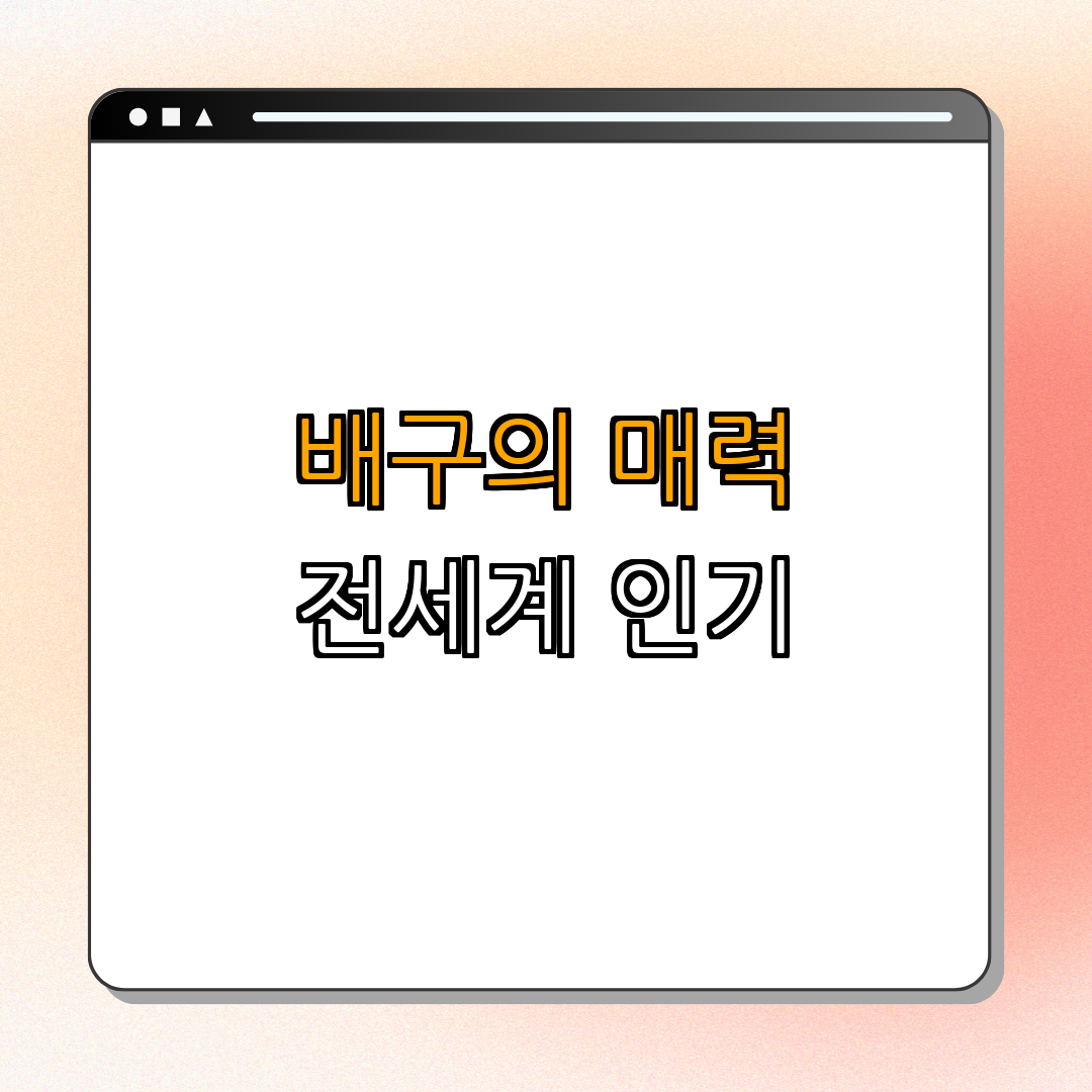 5. 배구의 매력과 인기