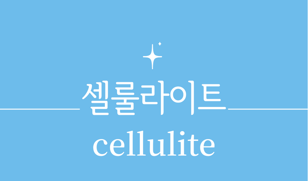 &#39;셀룰라이트(cellulite)&#39;