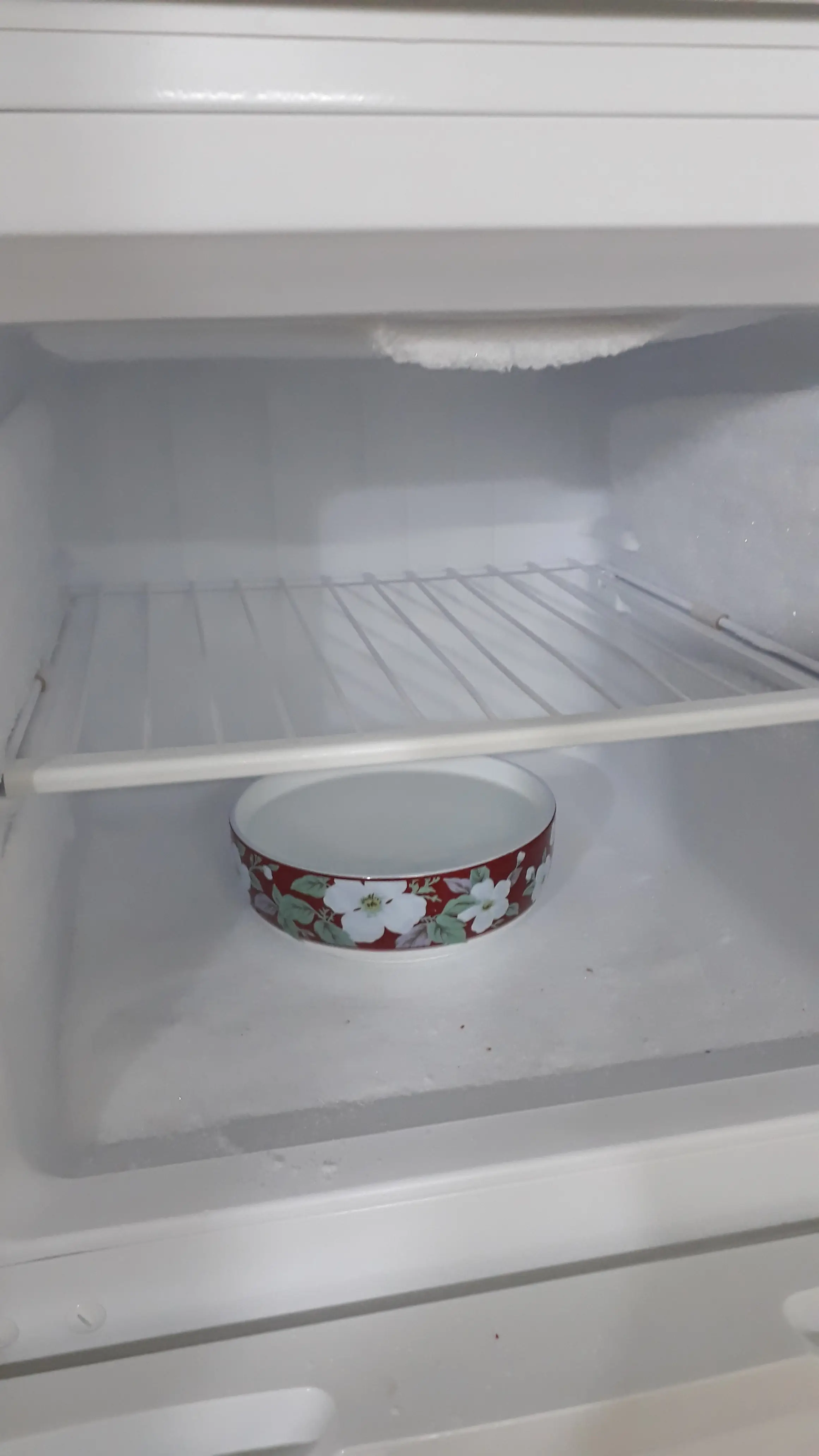 물-뜨거운 물-냉동고-제자리