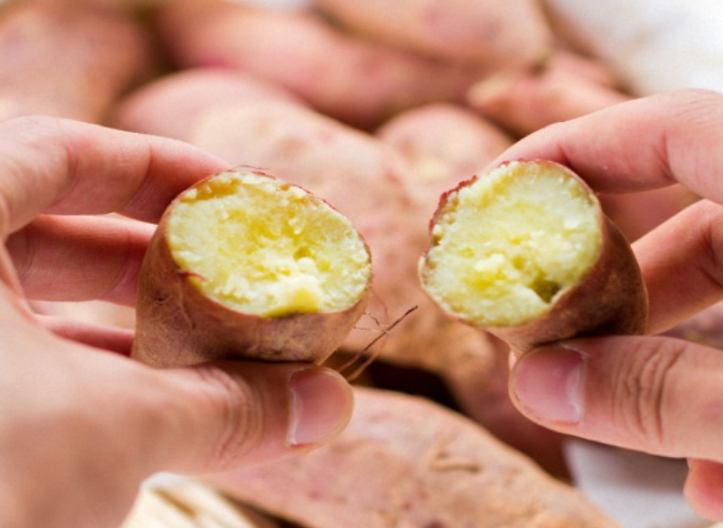 먹기 전에 고구마찜의 열량을 알아두자. 1