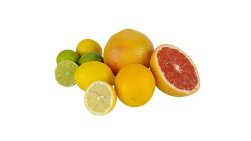 감귤류 과일(오렌지&#44; 레몬&#44; 자몽)