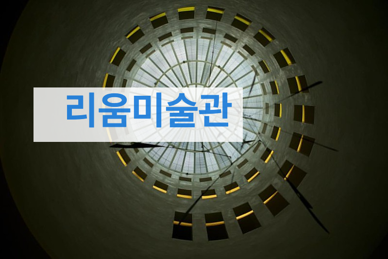 리움미술관 전시 (2023) 예약 1