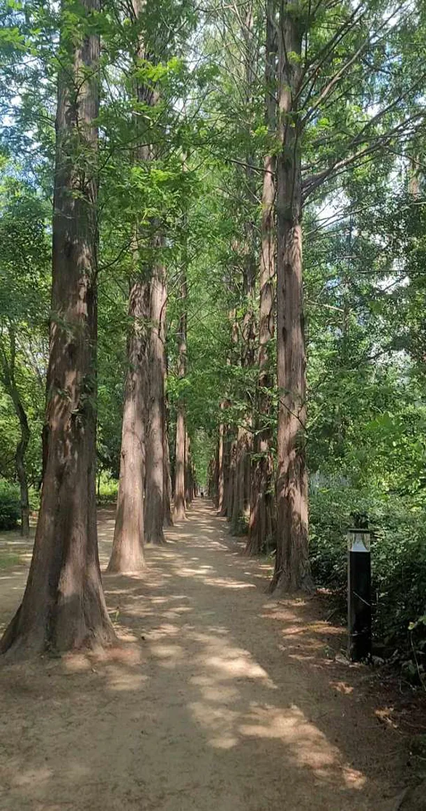 호산공원