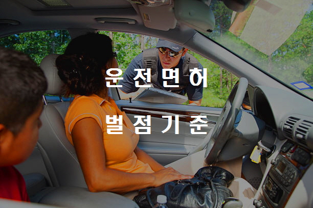  노다지네 잡학다식