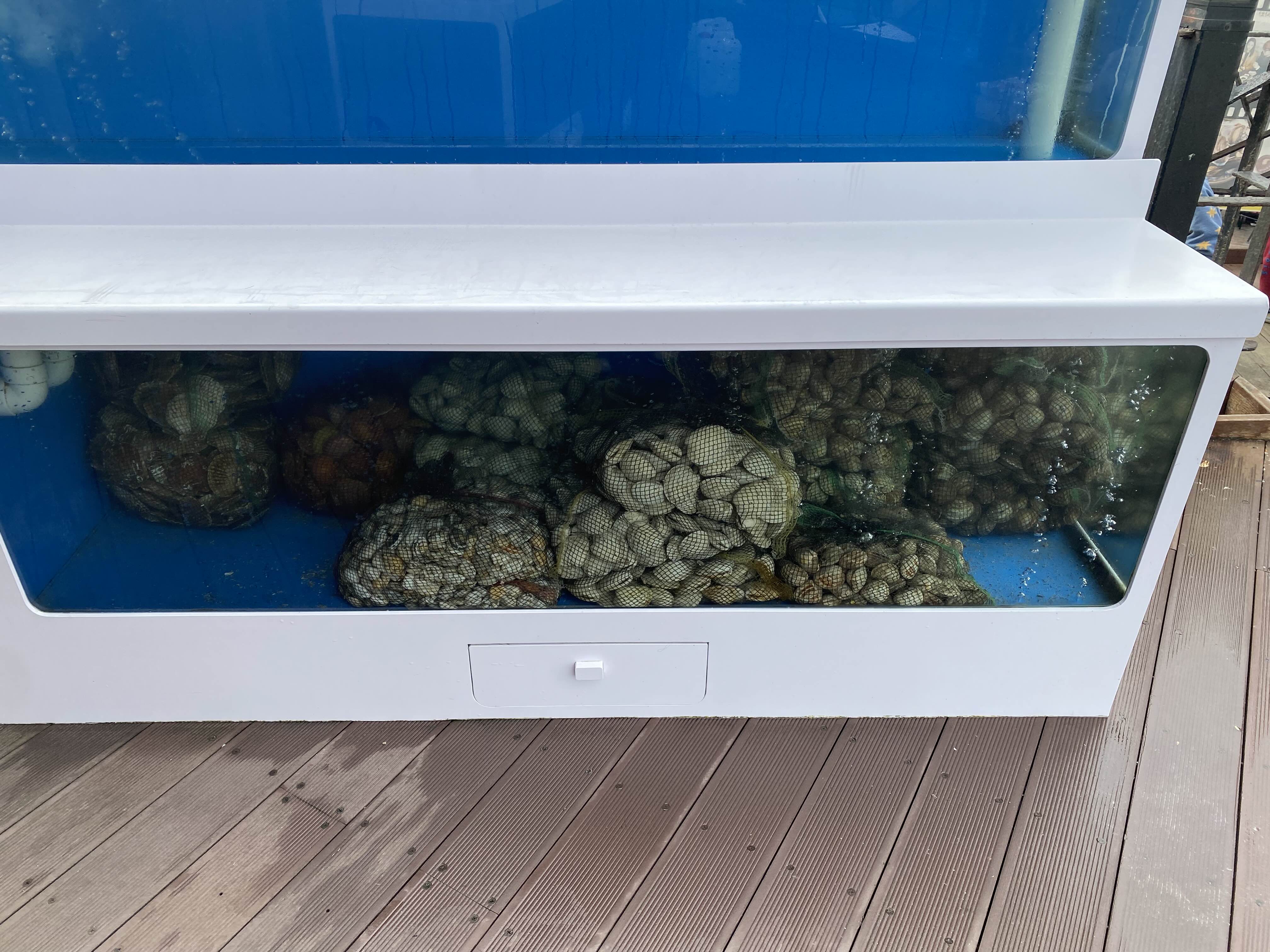 삼척전복해물뚝배기 식당