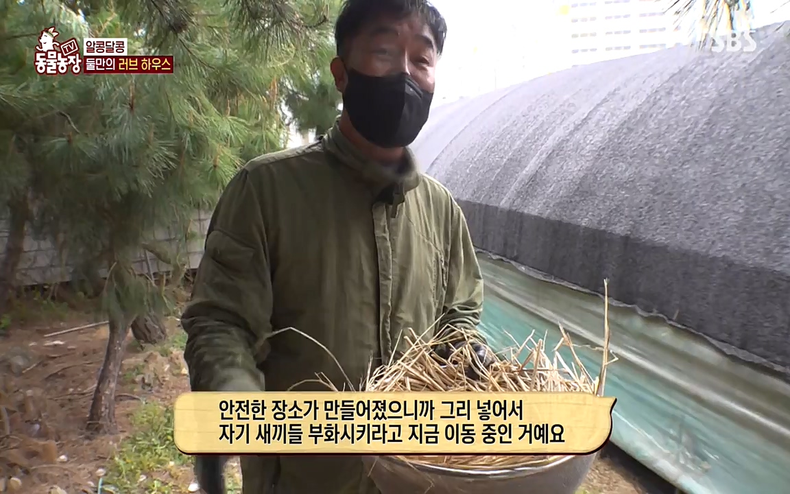 TV 동물농장.E1068.220509p-NEXT.mp4_20220508_173827.063.jpg