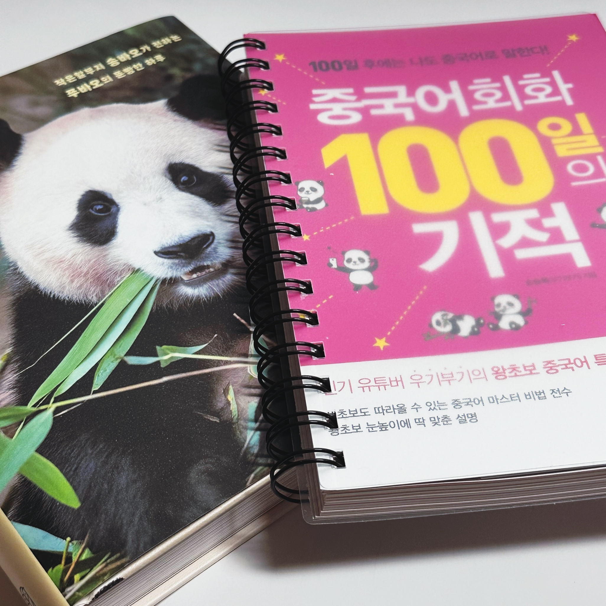  중국어회화 100일의 기적  #회화공부 #우기부기