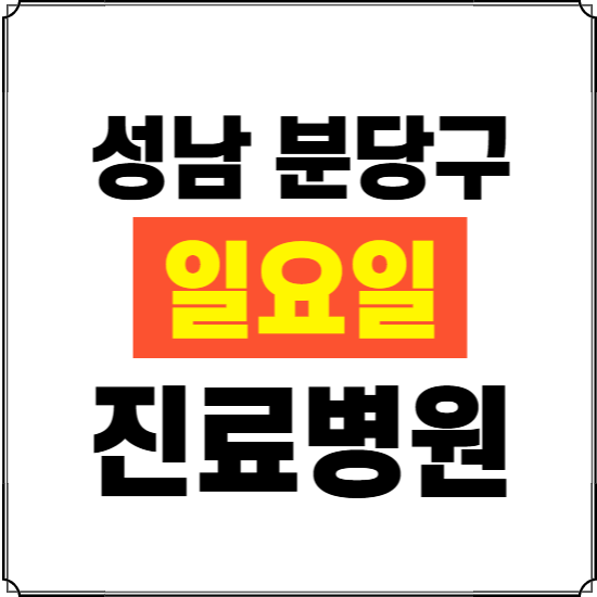 성남시 분당구 일요일 진료병원 찾기 ❘ 24시 휴일 주말 응급 야간 심야 문여는 병원