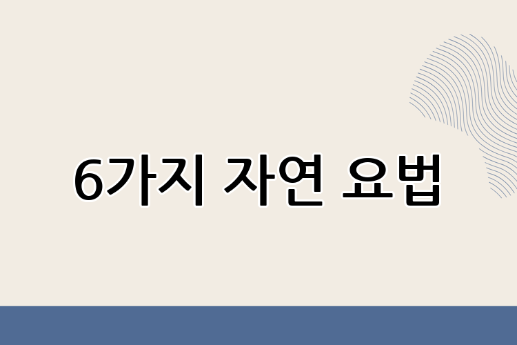 6가지 자연 요법