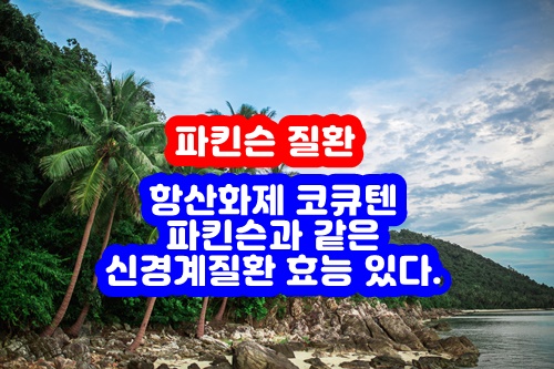  항산화제 코큐텐, 파킨슨과 같은 신경계질환 효능 있다.