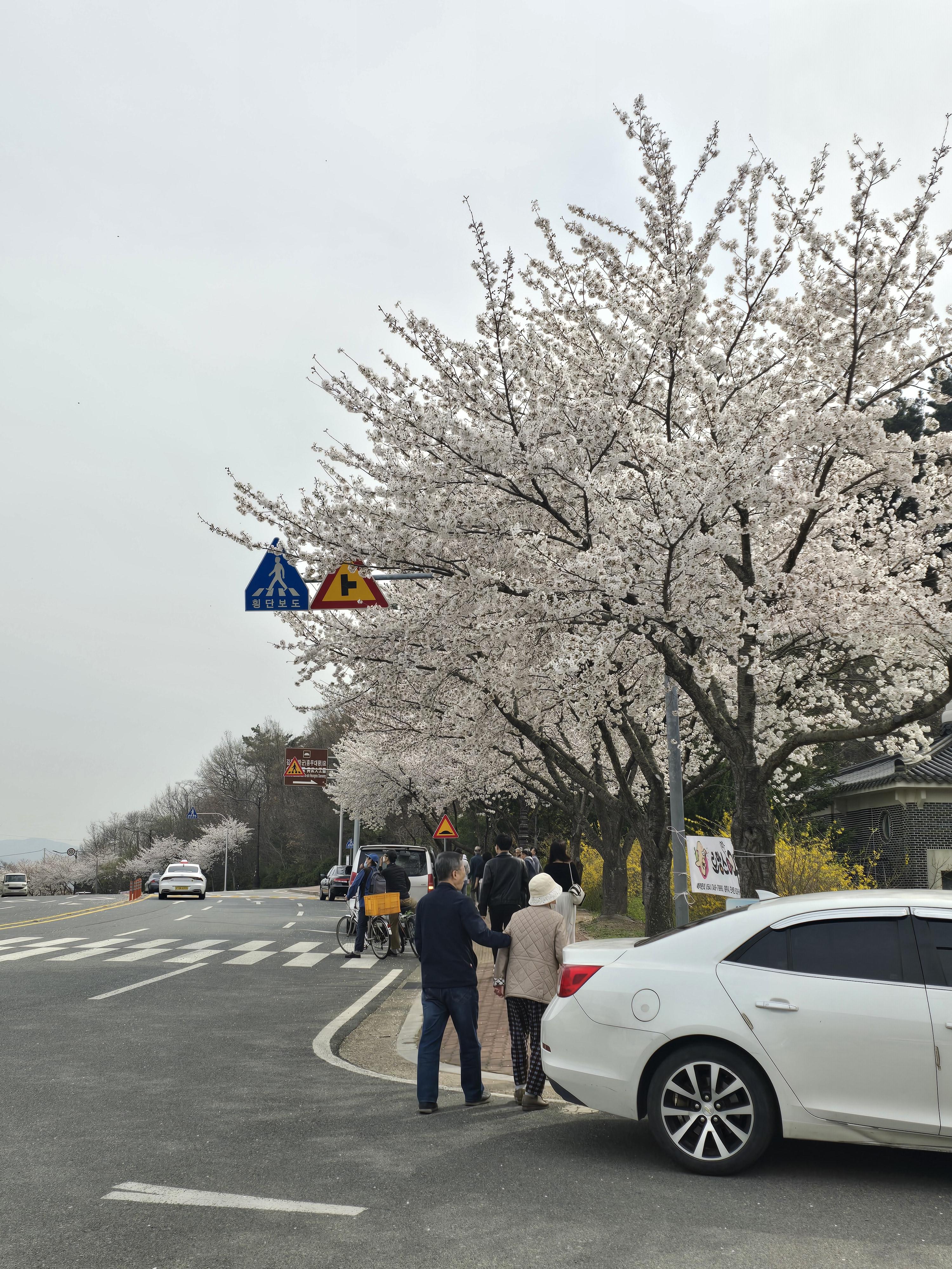 (주)여행장군 이미지