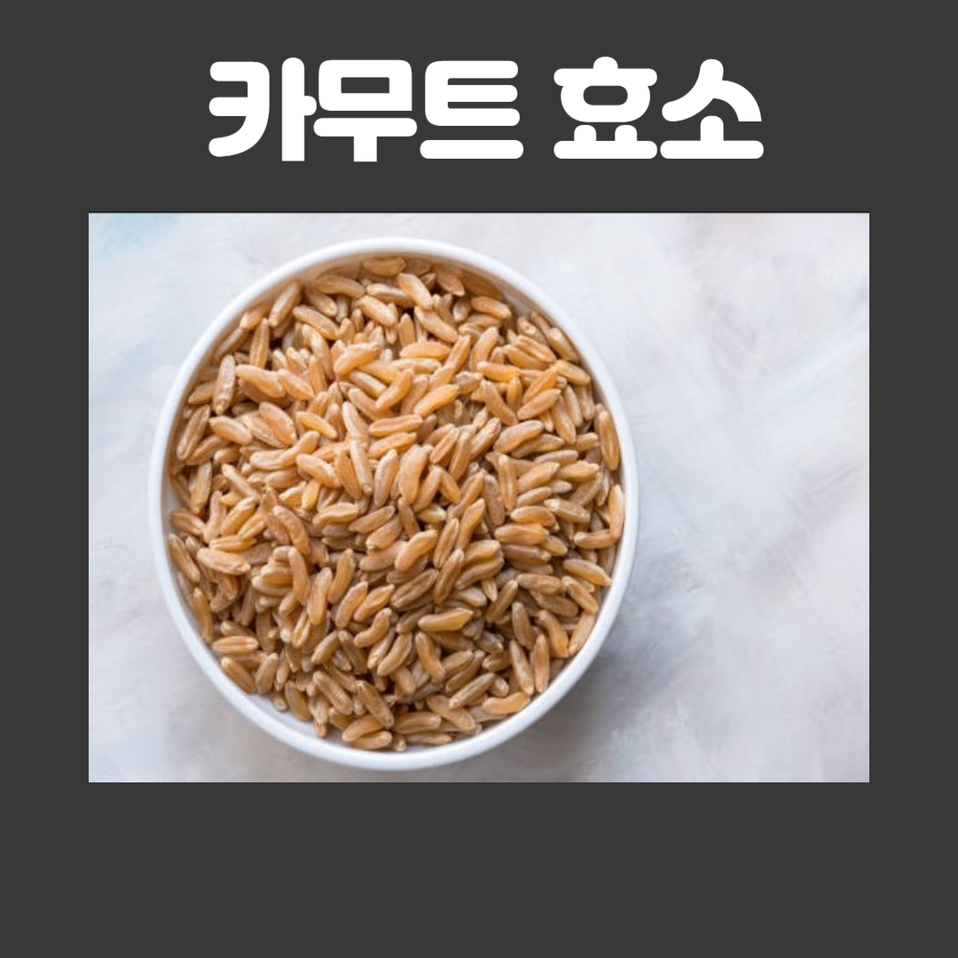 카무트 효소 효능 10가지 및 풍부한 영양소 알아보기