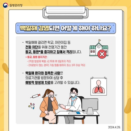 백일해 감염되면 해야 하는 사항