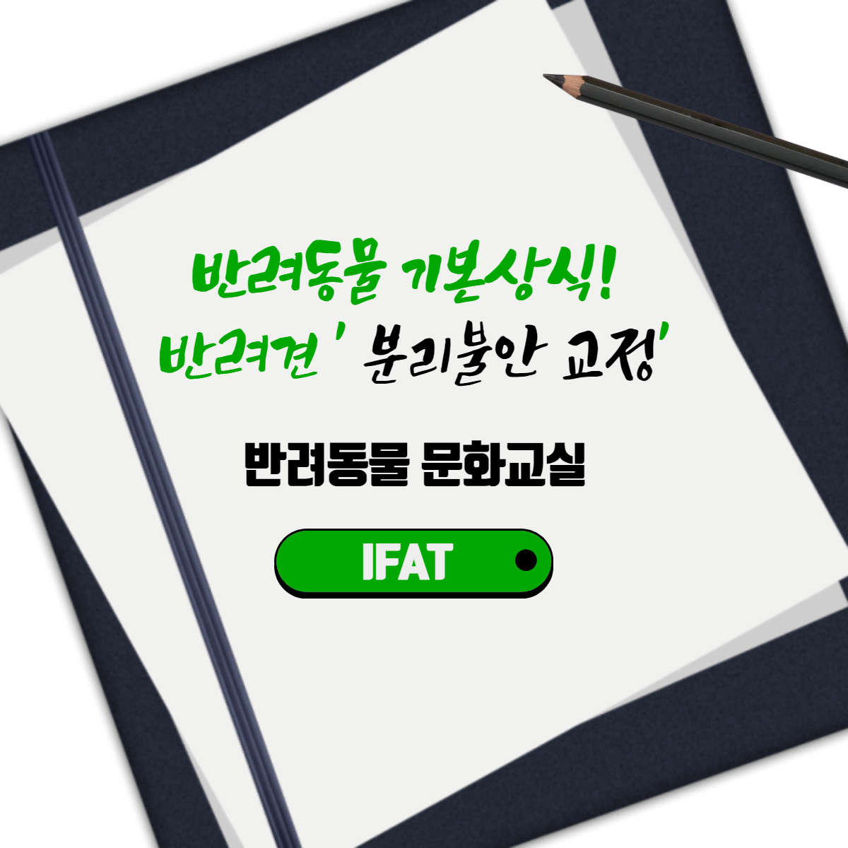  반려동물 기본상식! 반려견 '분리불안 교정'