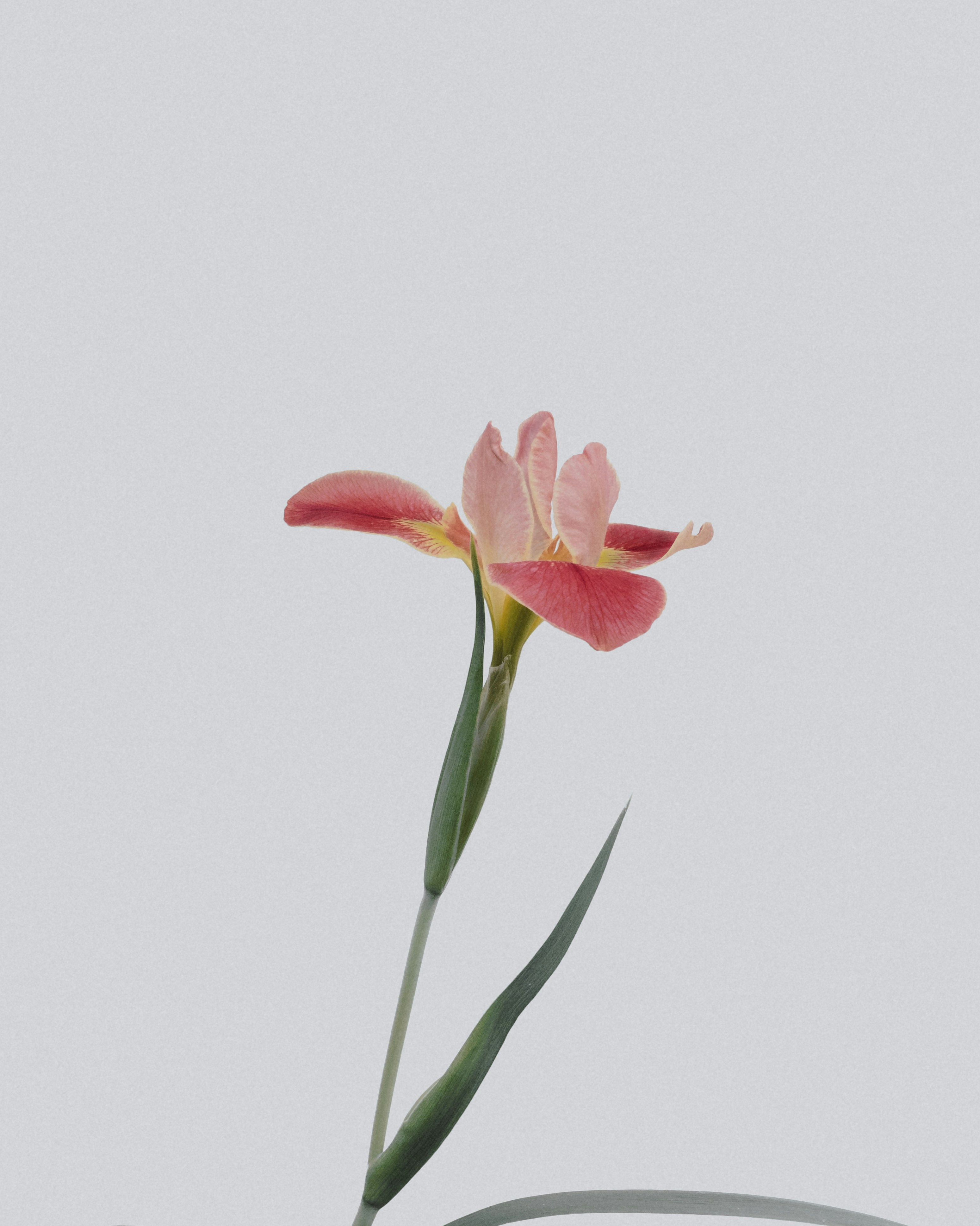 영국 직구 관세 알아보기 - FAQ - 모든 영역 영국 직구 관세 알아보기 - FAQ - 모든 영역