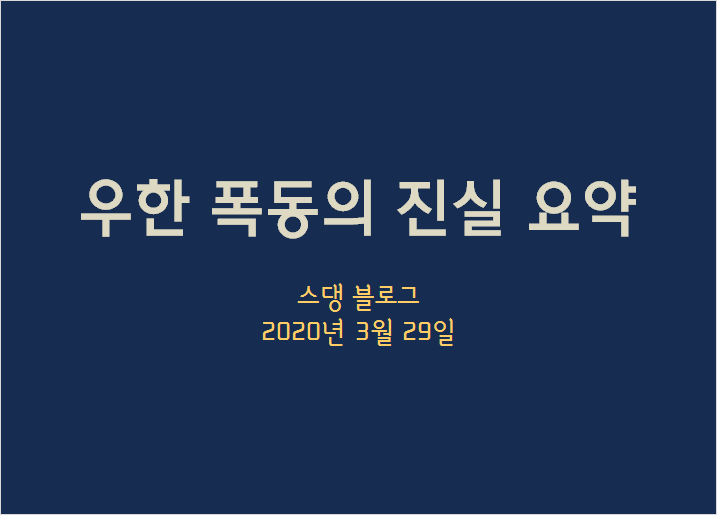  우한 폭동 사건 진실 요약
