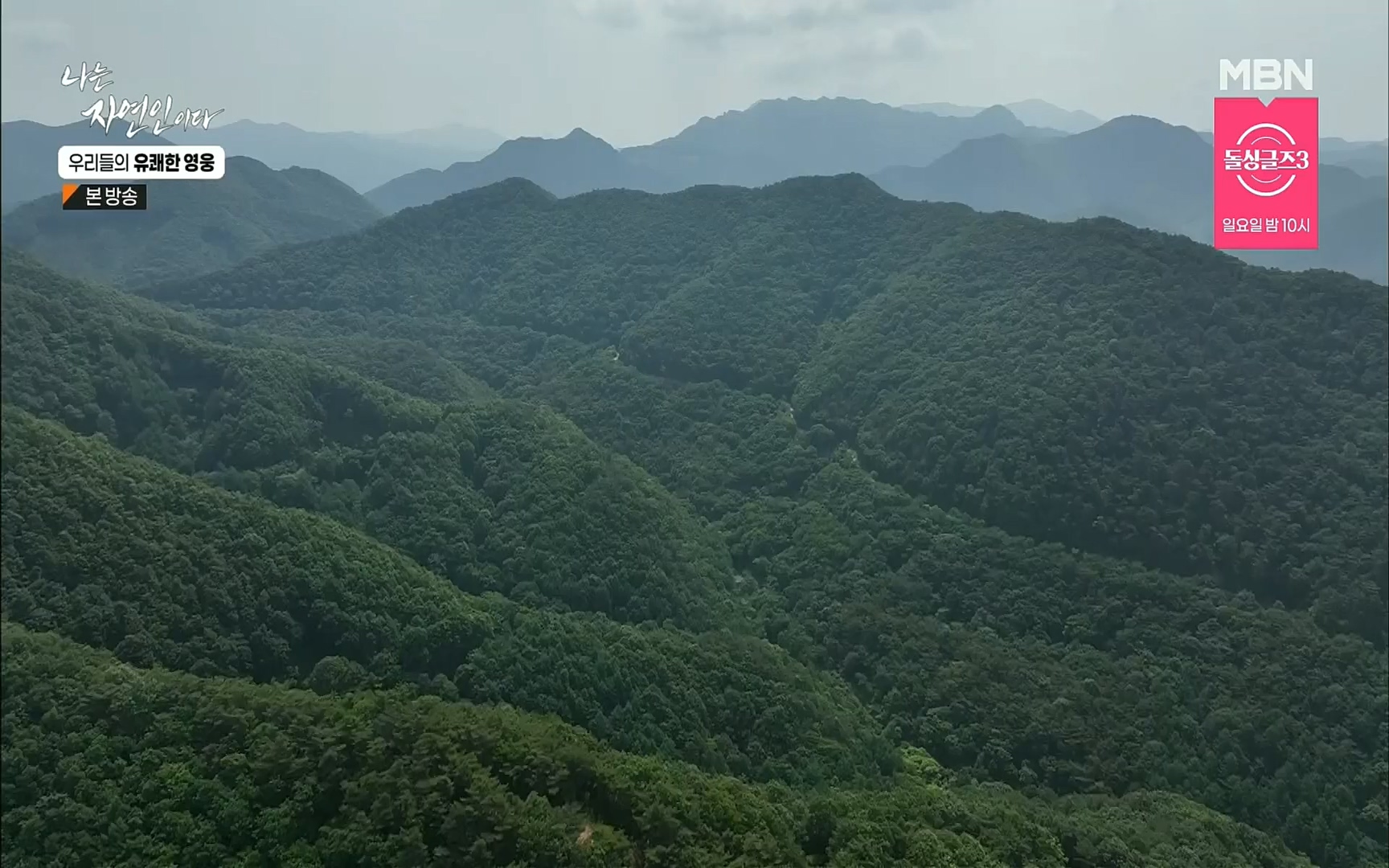 나는 자연인이다.E508.220629p.H264-F1RST.mp4_20220630_203358.790.jpg