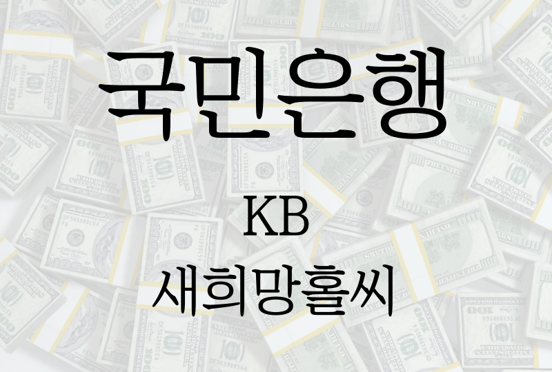  국민은행 KB 새희망홀씨 긴급생계자금, 신청자격/금리/한도/필요서류 등 모든것!