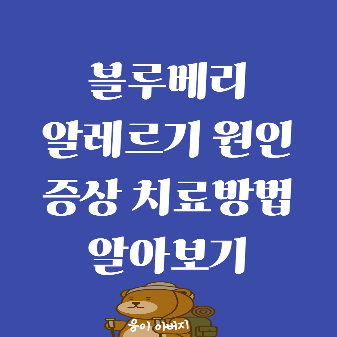 블루베리 알레르기 원인, 증상, 치료방법 알아보기1