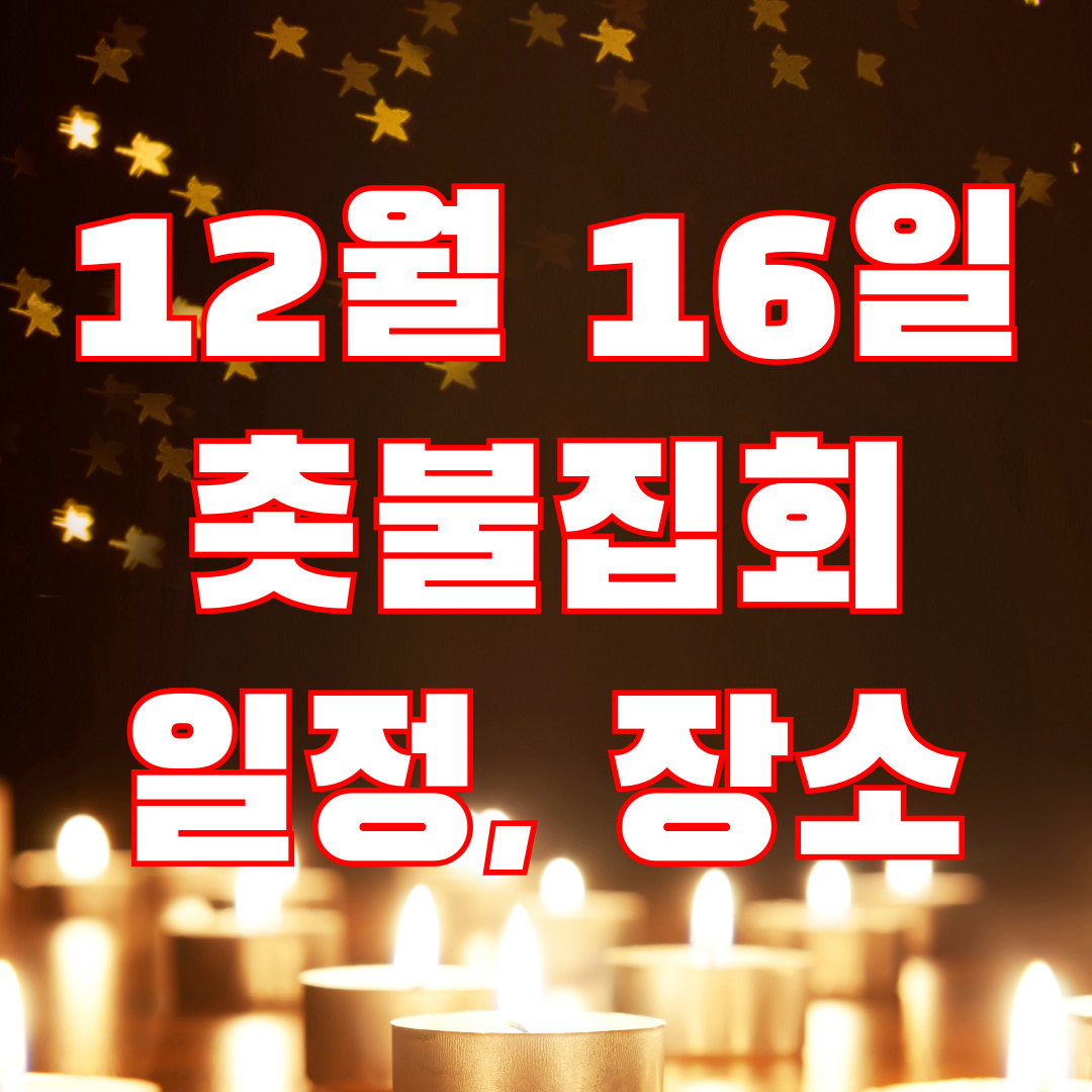 12월 16일 촛불집회 일정