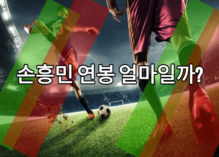  손흥민 연봉 얼마일까?