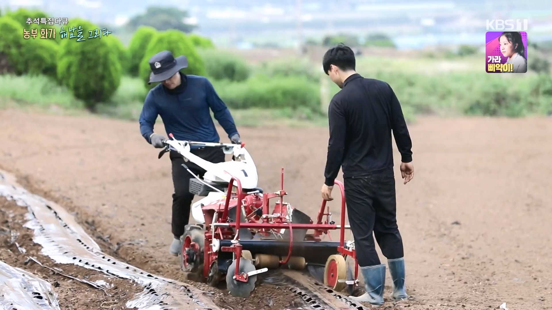 추석 특집 다큐 2부 - 농부화가 해남을 그리다.E02.230929p-NEXT.mp4_20231002_172254.807.jpg