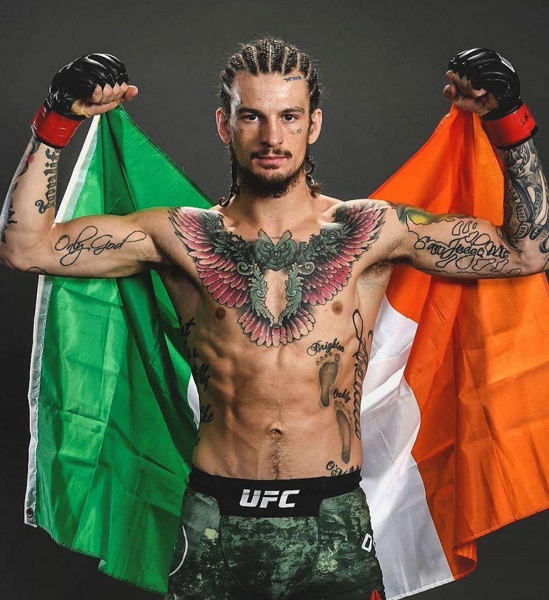 UFC 경기일정