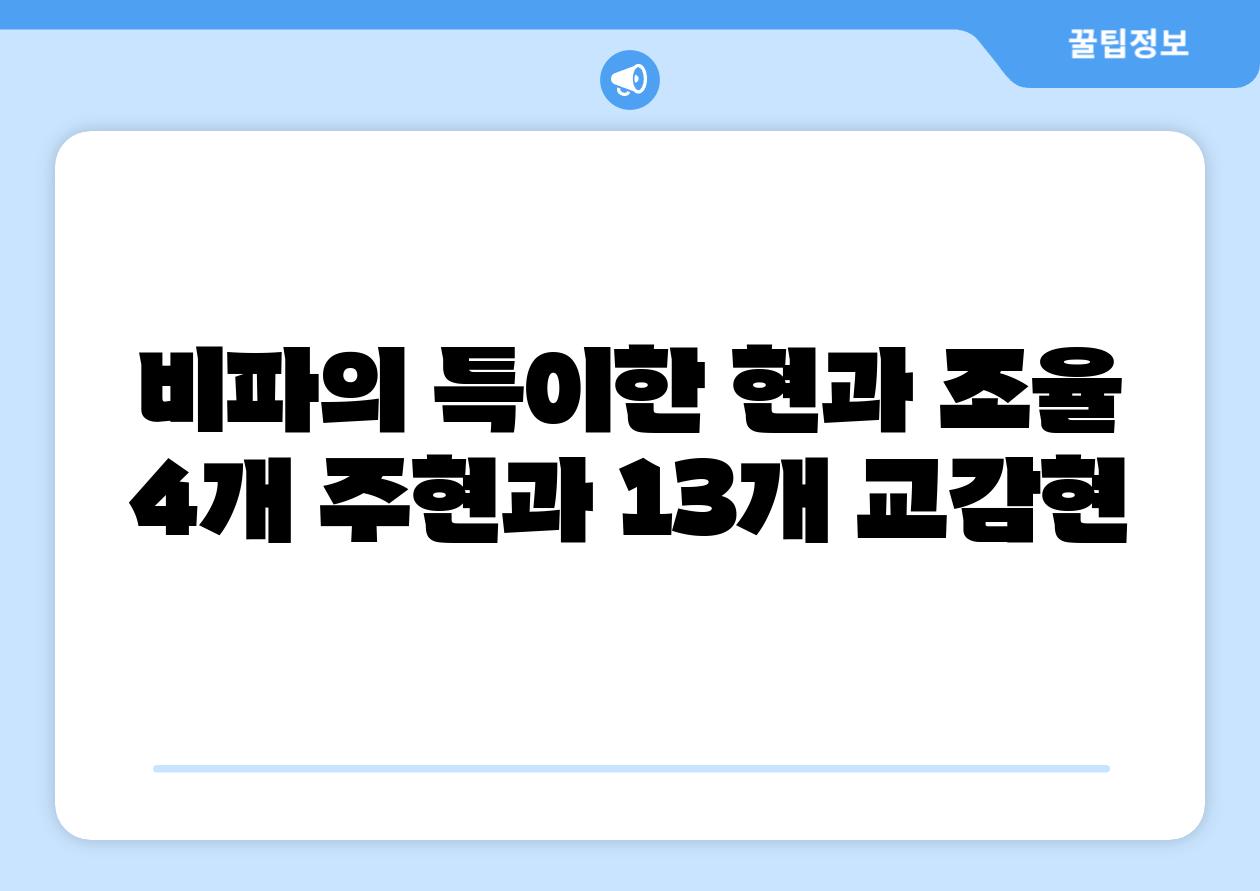 비파의 특이한 현과 조율 4개 주현과 13개 교감현