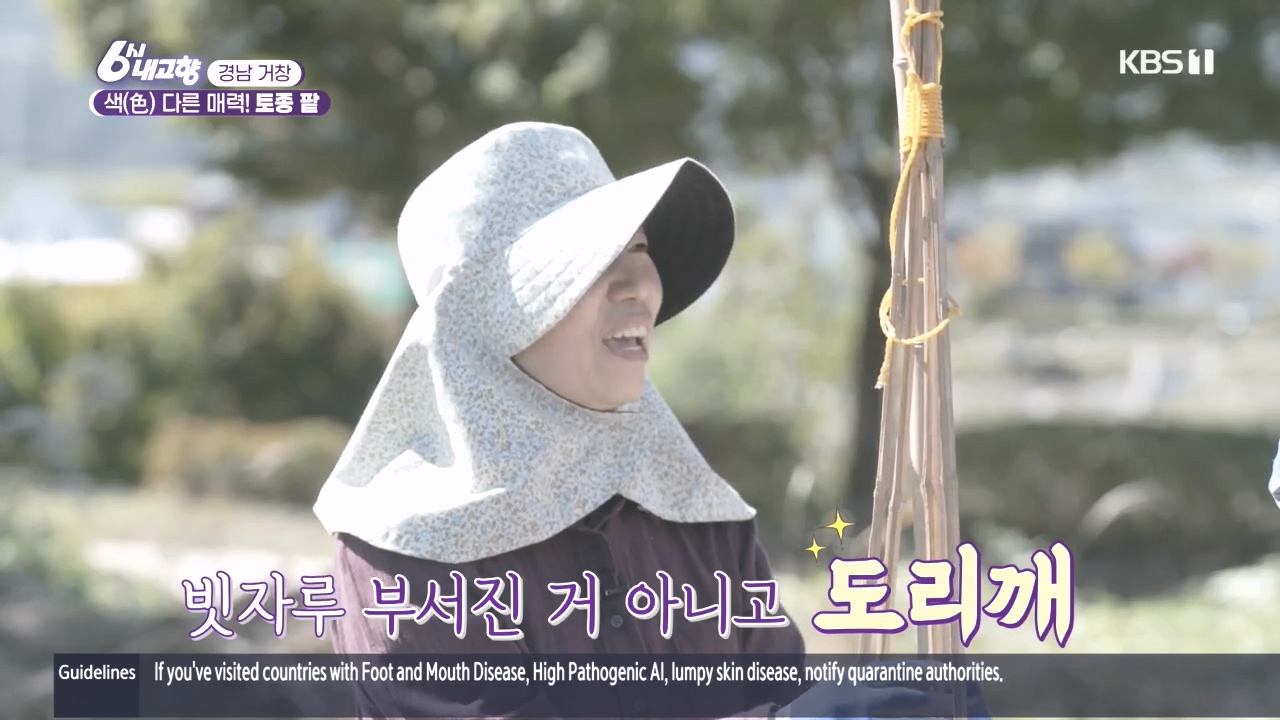 6시 내고향.E7897.231025p.H264-F1RST.mp4_20231025_200036.898.jpg
