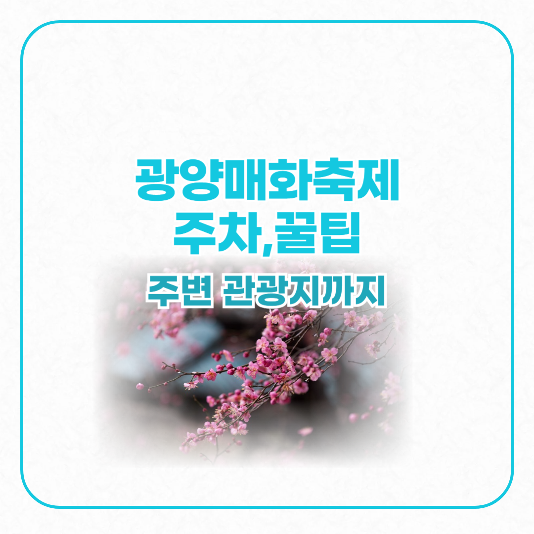 광양매화축제