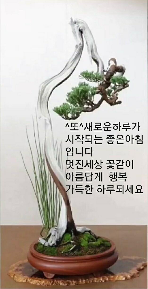 나이엔 졸업이 없고 즐거움엔 정년이 9