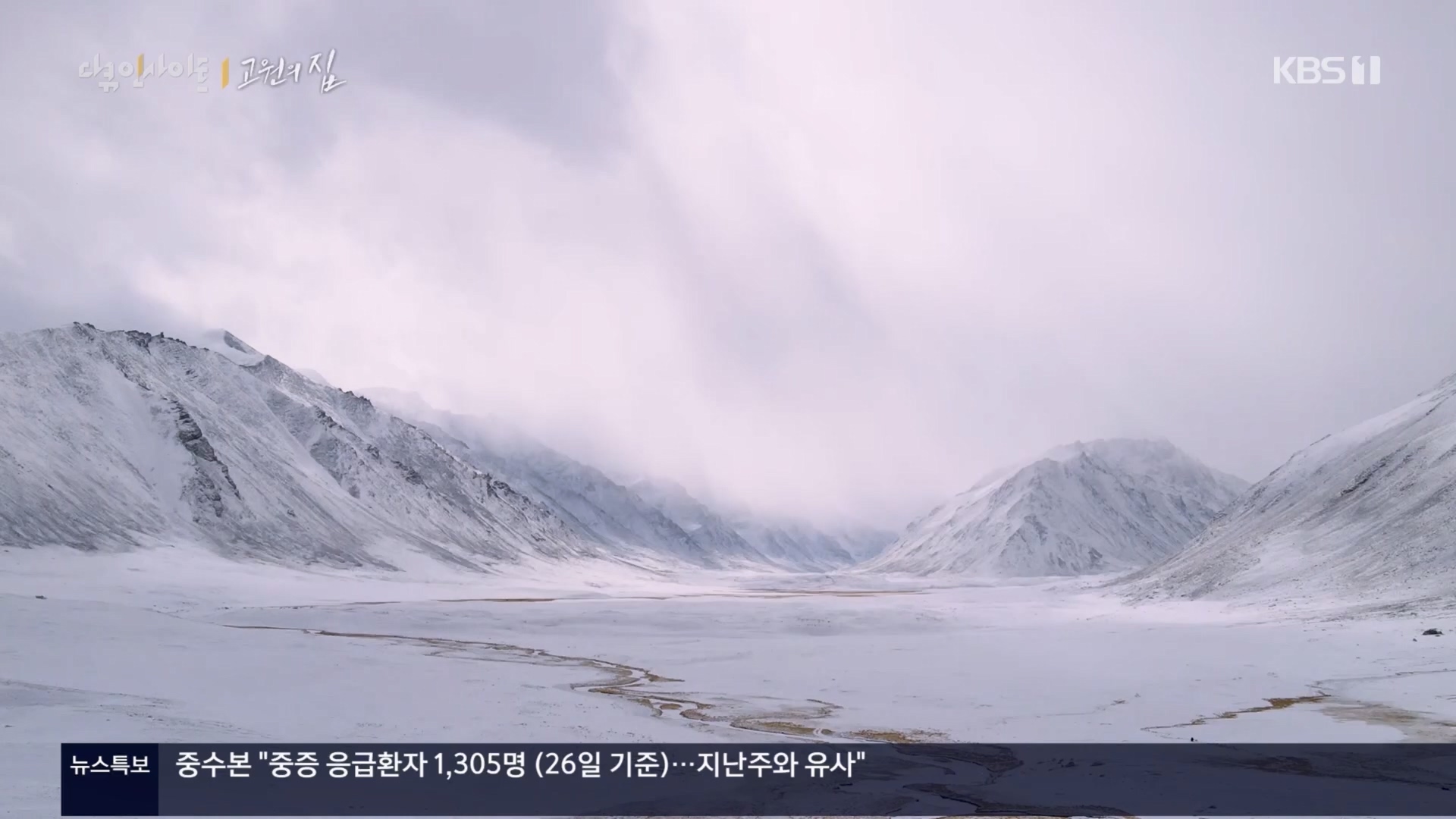 다큐 인사이트.E176.240328p.H264-F1RST.mp4_20240330_162417.305.jpg