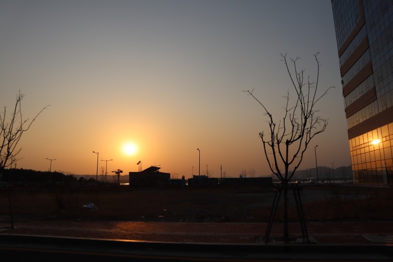김영희 바다가 보이는 아구찜 13