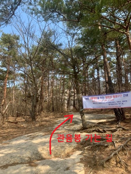 재백이삼거리