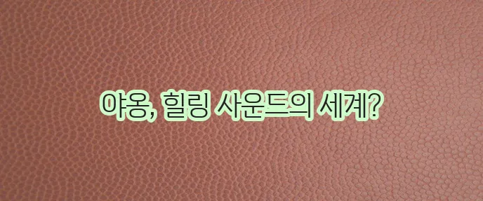 고양이가 좋아하는 음악 편안하고 안정적인 선곡이 중요하죠!