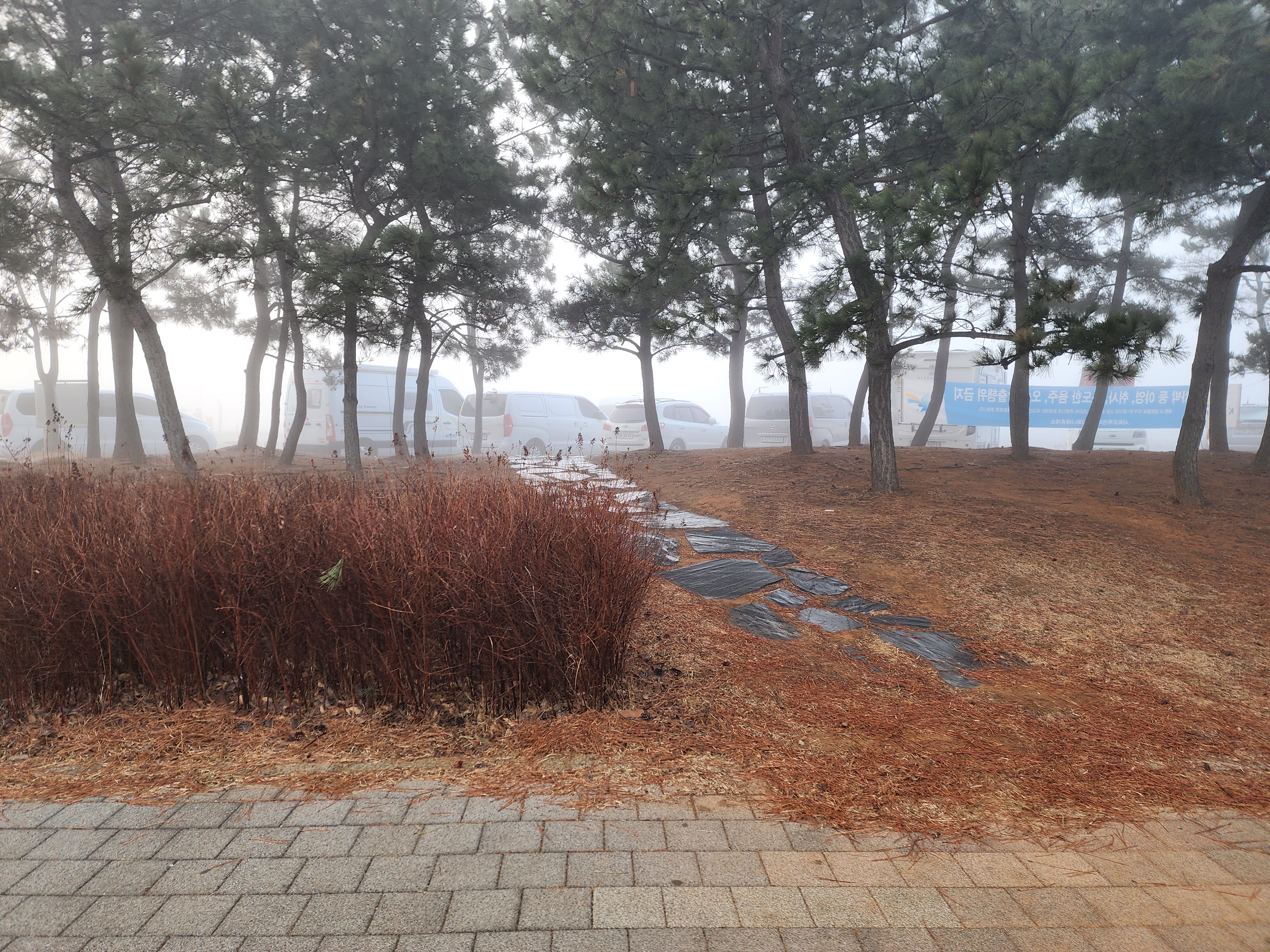 대부도 차박 8