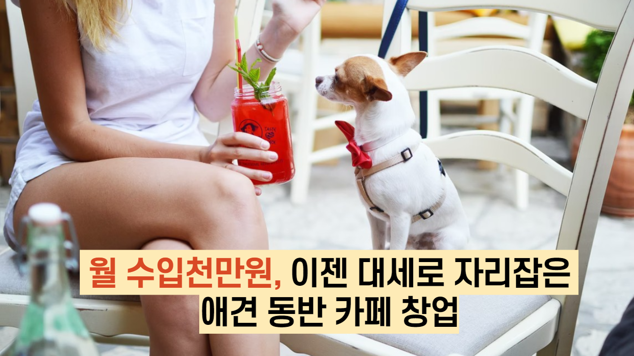  월 수입 천만원, 이젠 대세로 자리잡은 애견 동반 카페 창업