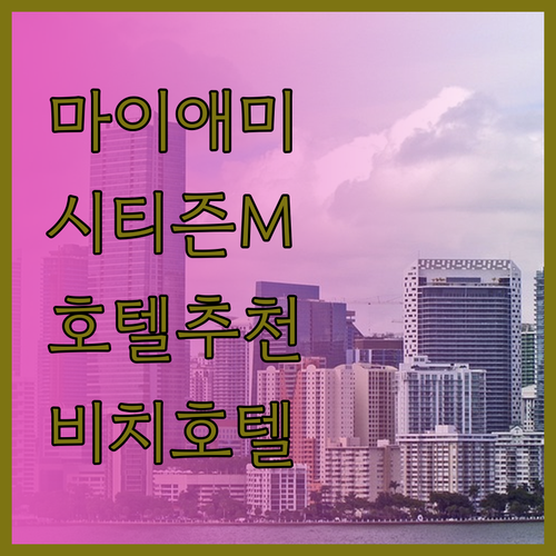 시티즌M 악셀비치 프리핸드 마이애미 