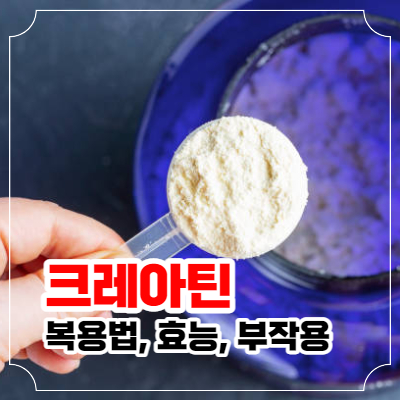 크레아틴 복용법과 효능 및 부작용 포스팅 이미지