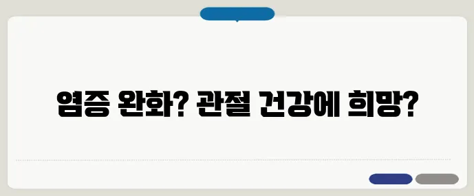 커큐민의 항염 효과, 관절염에 정말 좋을까?