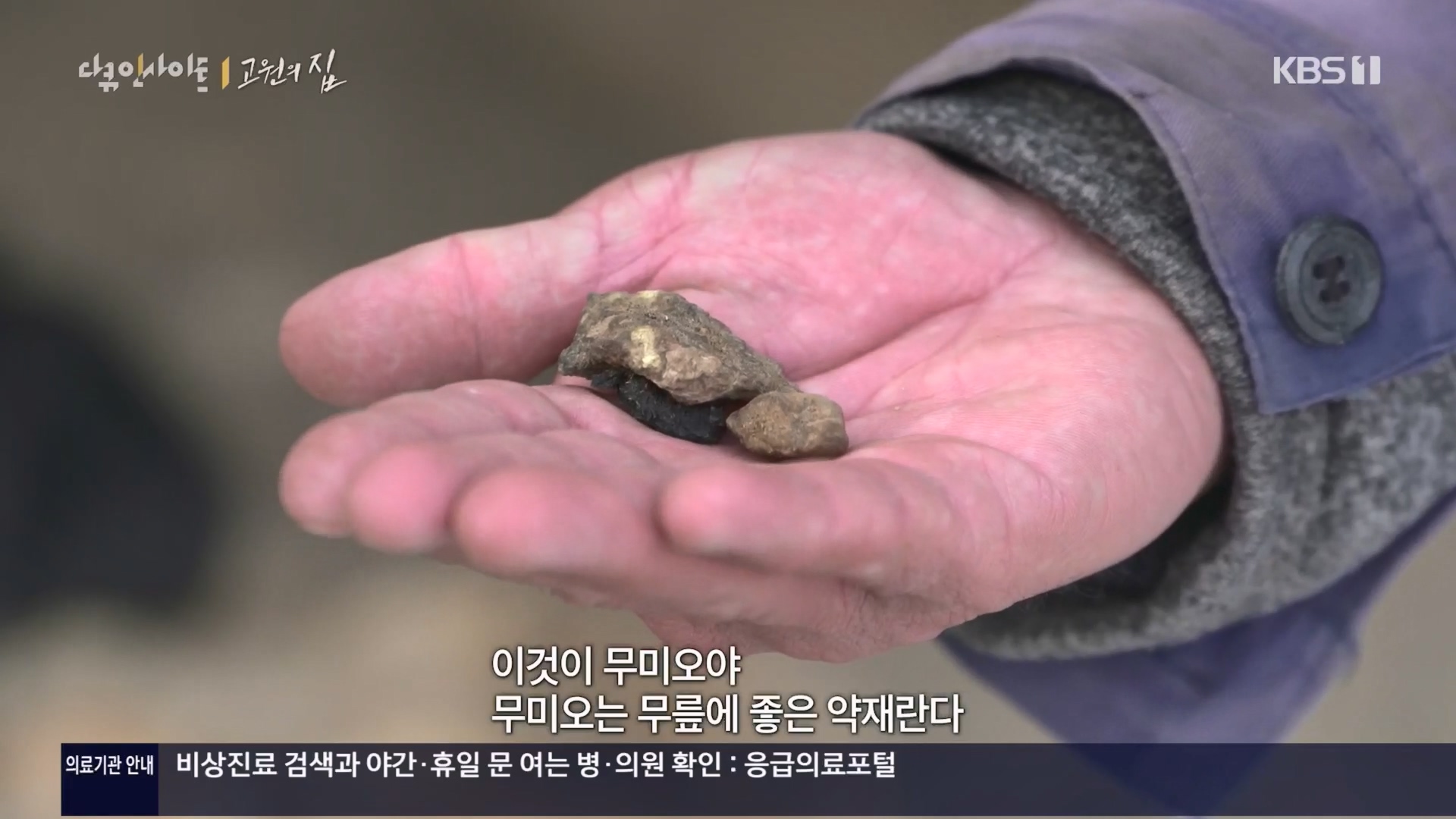 다큐 인사이트.E176.240328p.H264-F1RST.mp4_20240330_162342.377.jpg