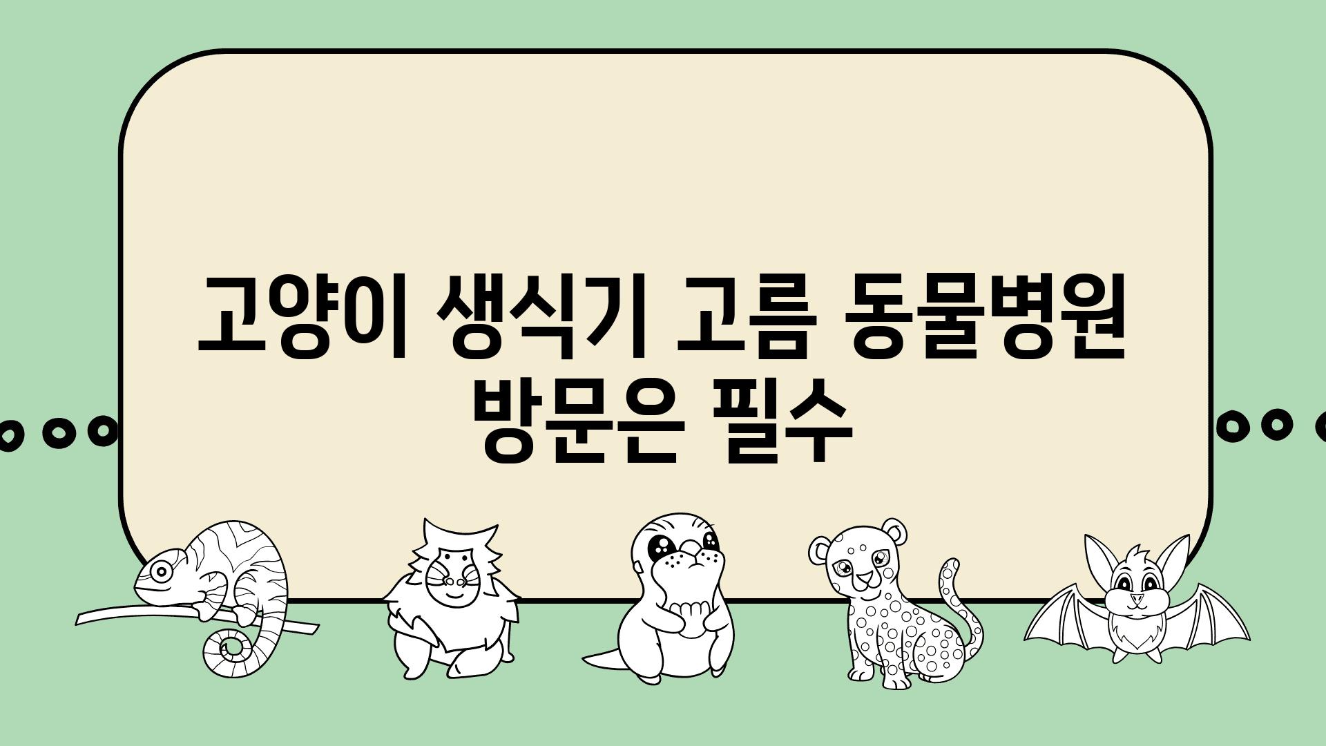 고양이 생식기 고름 동물병원 방문은 필수