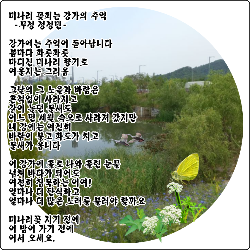 강가의추억 이미지