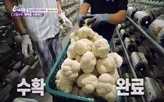 [7612회] 6시 내고향 - KBS7612회] 6시 내고향.ts_20220912_174126.327.jpg