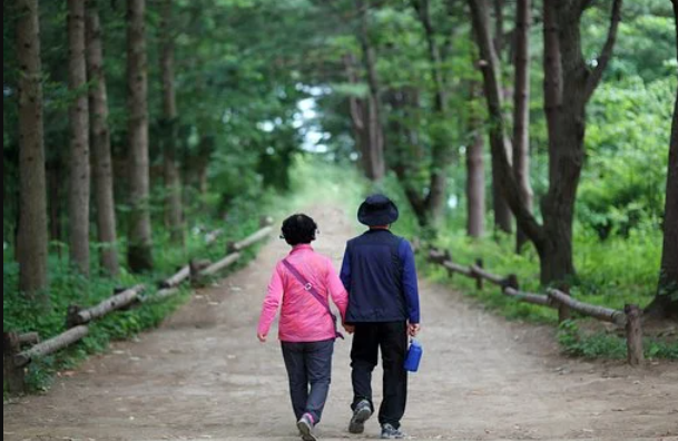  국민연금 수령액 계산 조회
