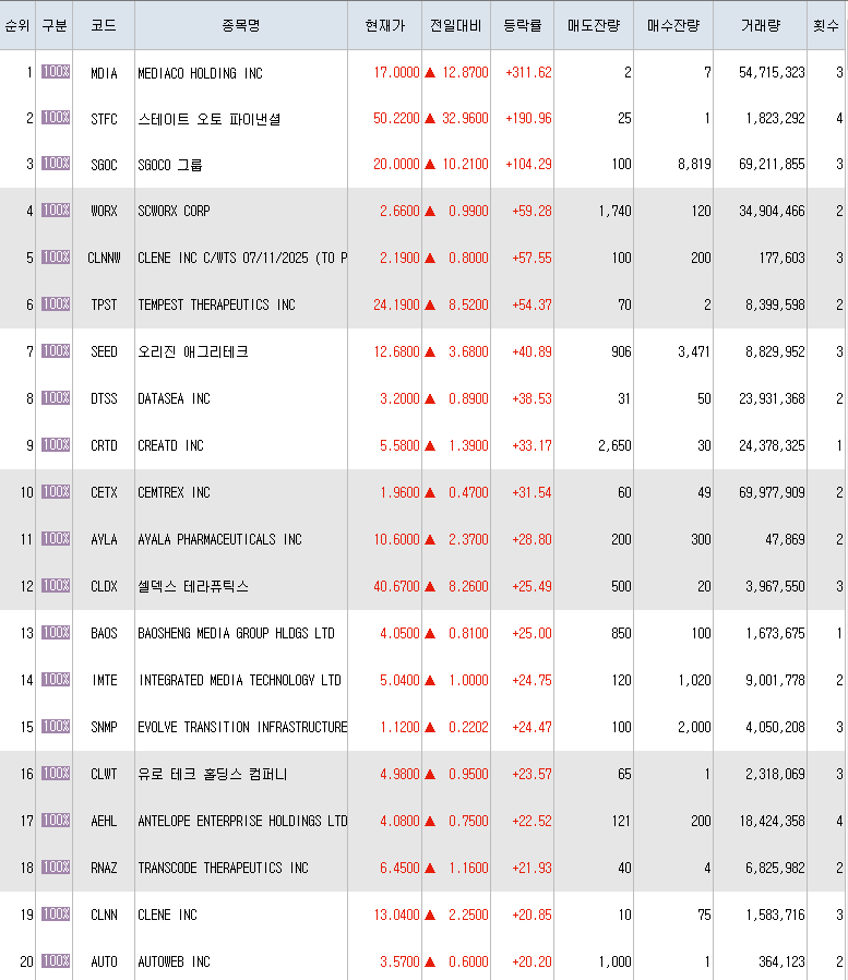  7월12일 미국주식 상승률 상위 종목 TOP 300